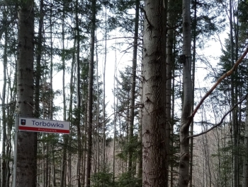 Oznakowanie przysiółków na terenie Gminy Koszarawa - zdjęcie14